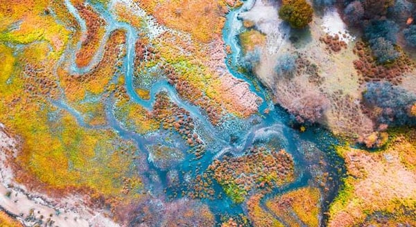 Aerial view of a meandering river