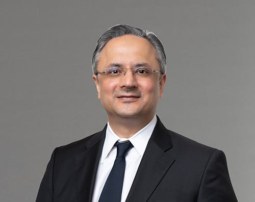 Uday Patnaik.jpg