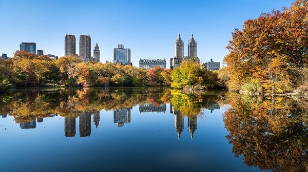 Looking across the lake at Central Park, New York