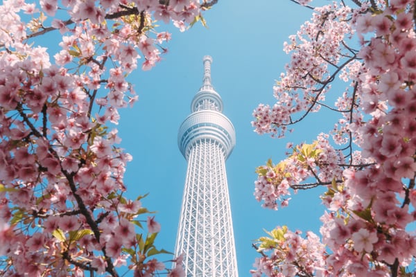 Building with flowers
