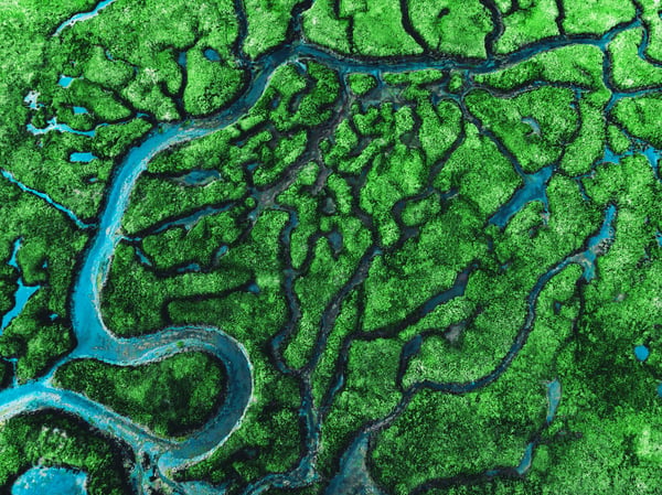 Meander river