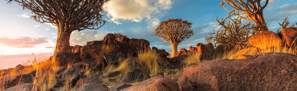 LSF African Government Bond (USD) UCITS ETF