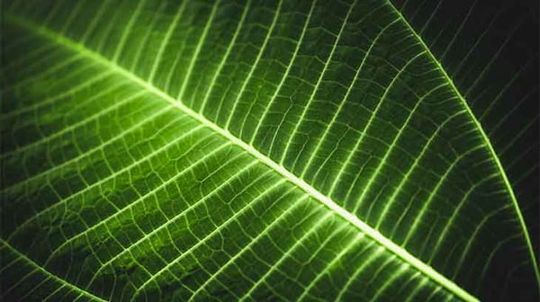 Active ownership image